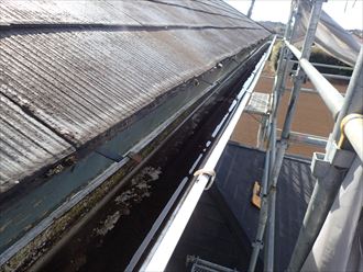 八街市　雨樋に溜まった雨水