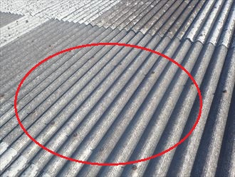 木更津市　明り取りの劣化