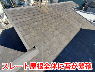 スレート屋根全体に繁殖した苔