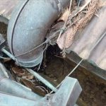 木更津市　雨樋の詰まり