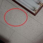 袖ケ浦市　天井に出来た雨染み