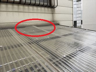 フレームから抜けています