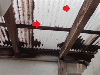 長生郡　波板調査