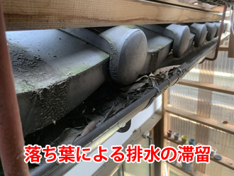 落ち葉による排水の滞留