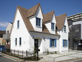 ドーマーのデザイン例