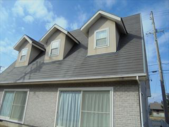 ドーマーのデザイン例