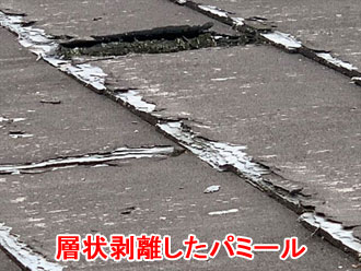 層状剥離したパミール