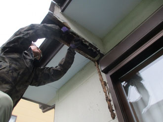 パラペットの補修