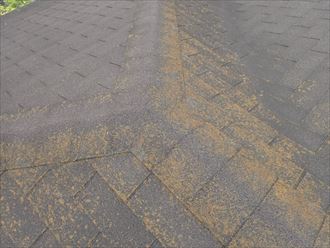 藻が繁殖したアスファルトシングル