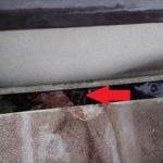 四街道市　枯れ葉等の詰まり