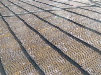 苔の繁殖したスレート