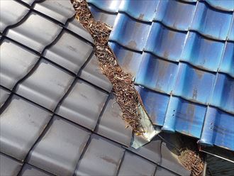 木更津市　枯れ葉の詰まり