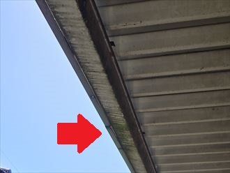 茂原市　水漏れによる苔の発生