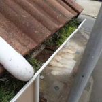 土砂が詰まり、苔の生えた雨樋