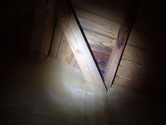 木更津市　屋根裏の調査