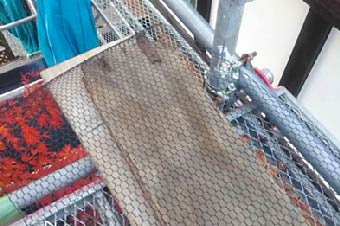 ドーマーと水切り板金の隙間