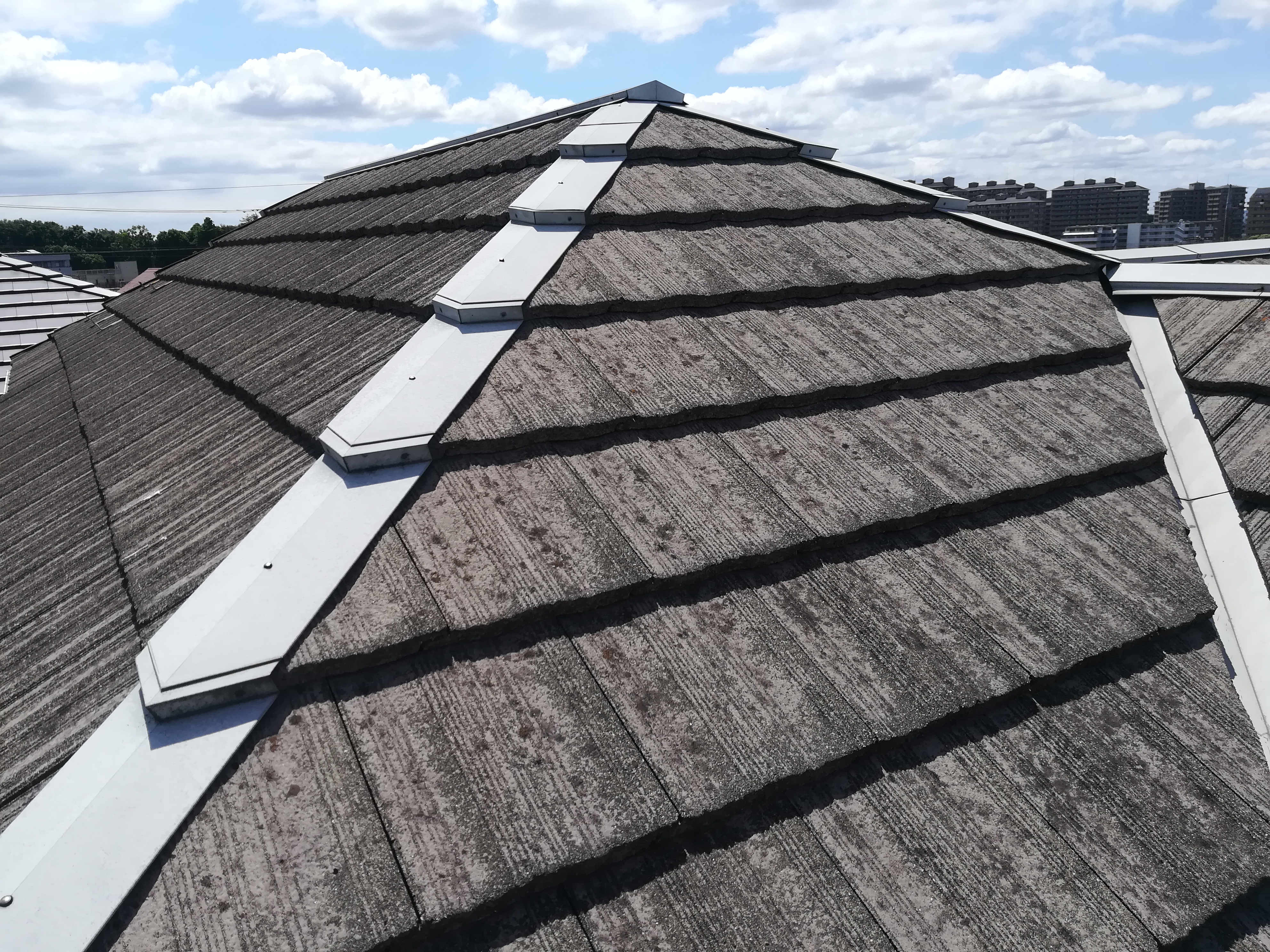 モニエル瓦のお宅