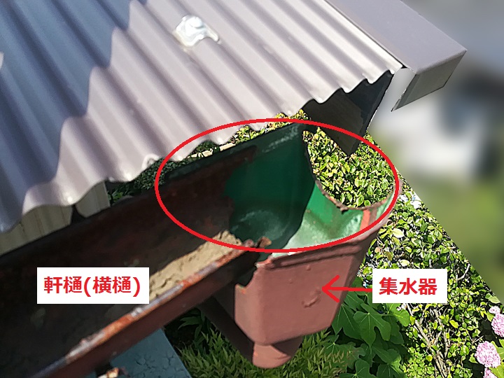 雨樋　錆びて千切れてしまった