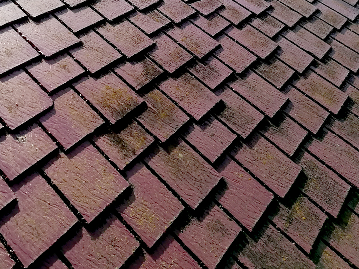 アーバニー　特徴的な見た目