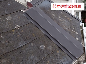 下屋根　苔　カビ　汚れ付着