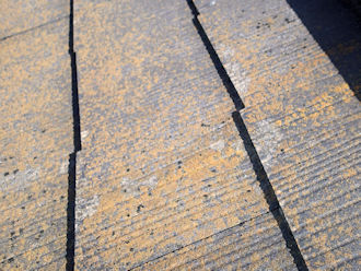 オレンジ色の苔が繁殖