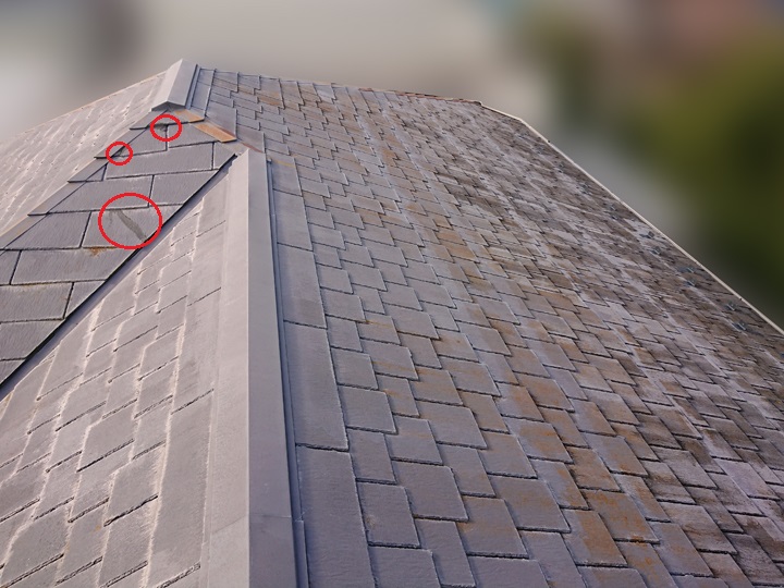 アーバニー-屋根全体の様子