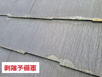 パミール　剥離予備軍