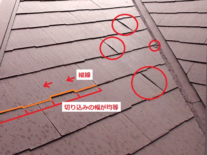 特徴がパミールの屋根