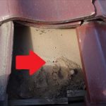 木更津市　防水紙の状態