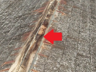 棟板金剥がれ　貫板腐食