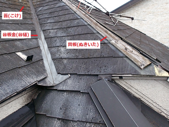 複雑な形状-棟板金剥がれ