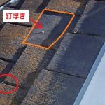 アーバニーグラッサ　釘が見えている　落ちている