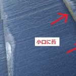 パミール　層間剥離と苔