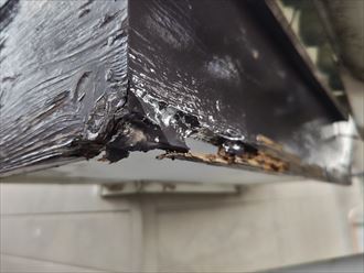 茂原市　破風板の調査