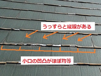 パミール　見分け