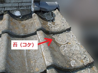 ケラバ　袖瓦　苔（コケ）
