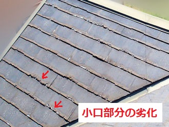 パミール　小口から剥離