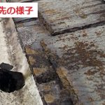 軒先に苔（コケ）