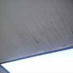 君津市　軒天の状態