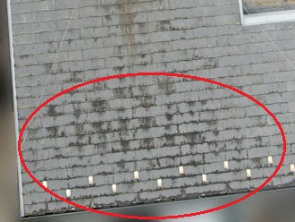 軒先付近の傷み