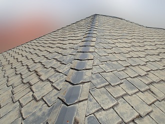 屋根全体の様子