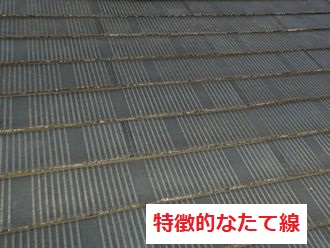 フルベストリード