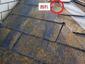 ドーマー屋根　コケカビ