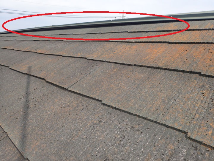 棟板金浮き　苔発生