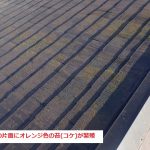 スレート屋根　苔（コケ）発生
