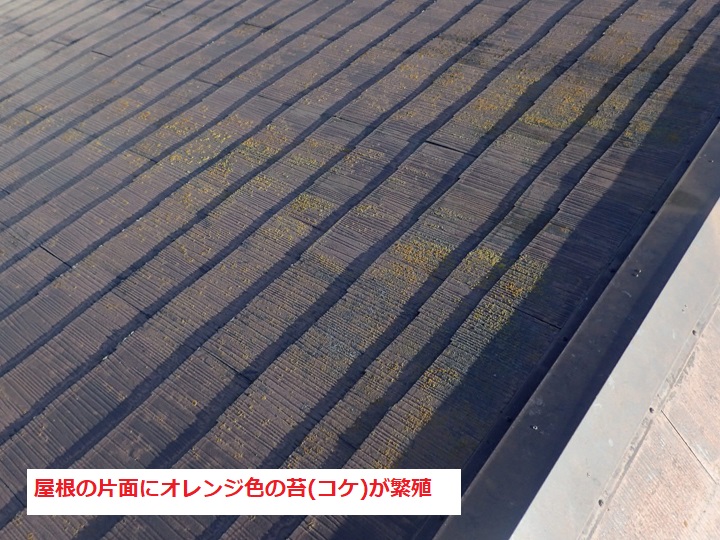 スレート屋根　苔（コケ）発生