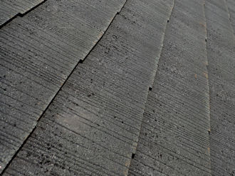 表面に付着した汚れ　黒カビ