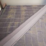 下屋根の苔(コケ)