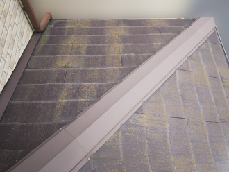 下屋根の苔(コケ)