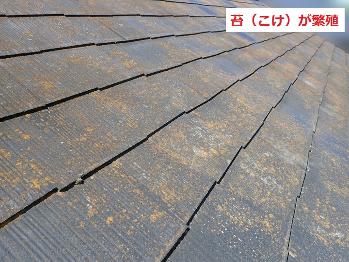 スレート屋根　塗装劣化